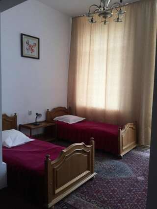 Отель Hotel Rares Ботошани Двухместный номер с 2 отдельными кроватями-5