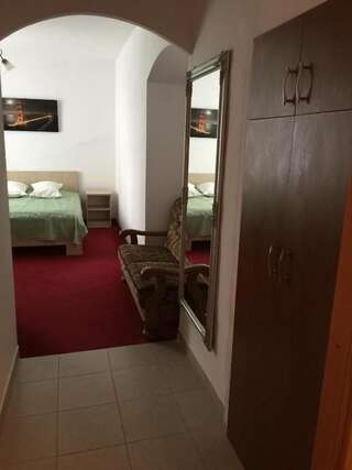 Отель Hotel Rares Ботошани Двухместный номер с 1 кроватью-36
